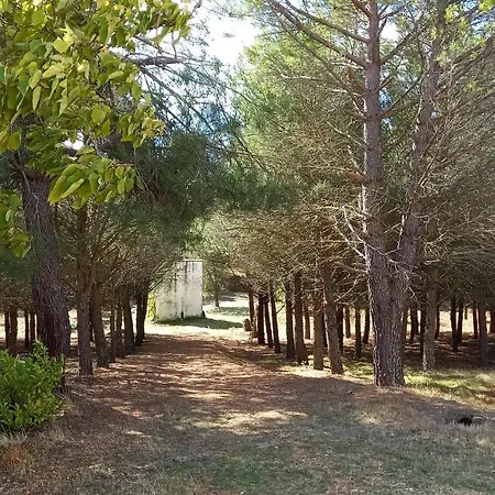 Increible Casa Rural Con Piscina Para 15 Personas Vakantiehuis
